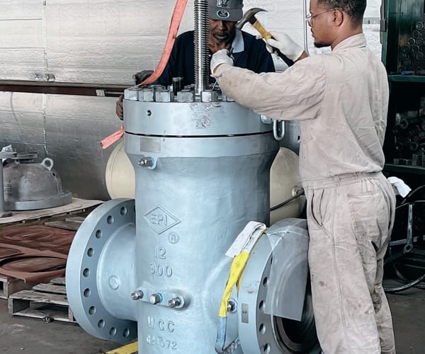 EPI Expanding Gate Valve